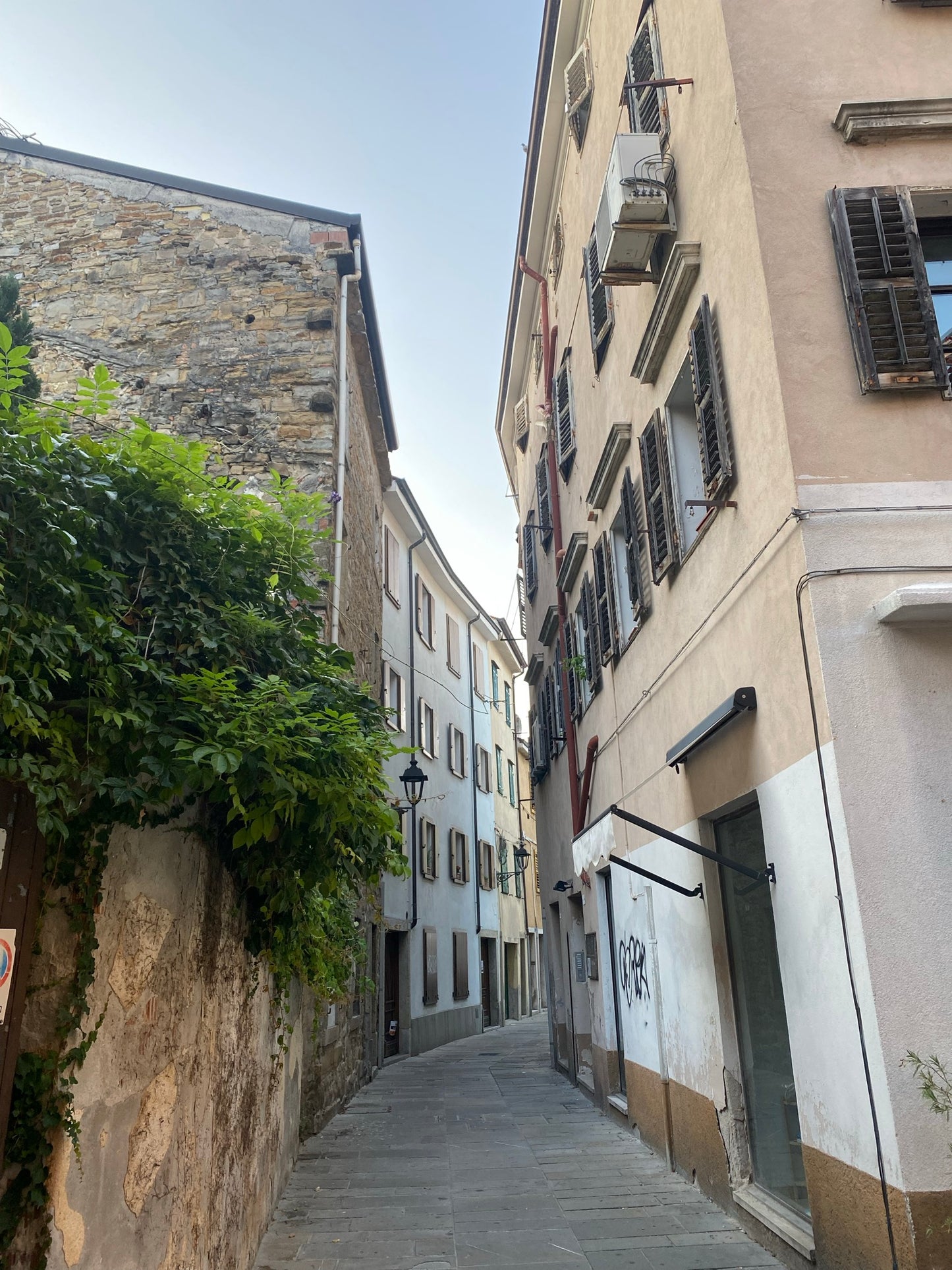 In der Mitte richtet sich der Blick auf eine enge Gasse in Muggia, rechts und links dafür gesäumt von weißen und gelben Häusern. Im Vordergrund befindet sich links eine ca 2 Meter hohe Mauer, über die grüne Sträucher wachsen.
