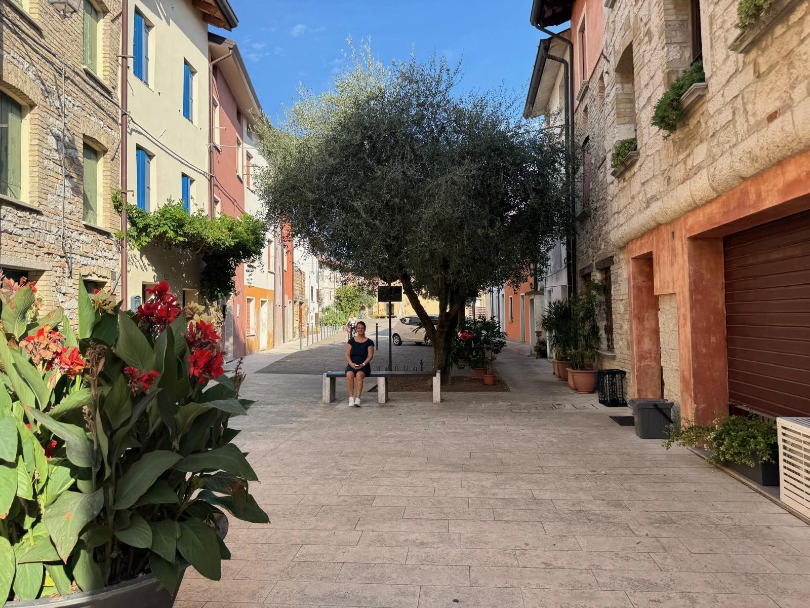 Bunte Gasse mit Olivenbaum in Marano Lagunare – venezianische Sprachinsel im Friaul